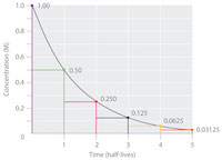 half life curve